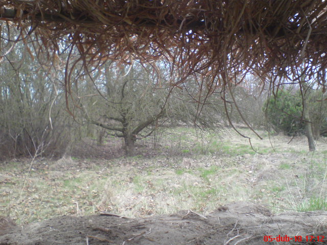 DSC01615.JPG